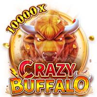 CRAZY BUFFALO™